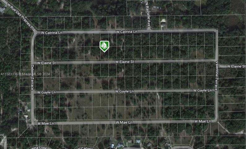 8333 W ELAINE ST, OTHER CITY - IN THE STATE OF FLORIDA, FL 34428, photo 1 of 3