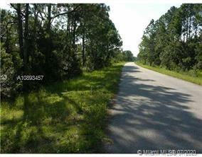 4500 FETTUCCINE AVE, SEBRING, FL 33872, photo 1 of 7