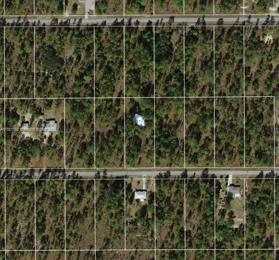 LOT 24 SW COLUMBINE AVE, OTHER CITY - IN THE STATE OF FLORIDA, FL 34431, photo 1 of 2