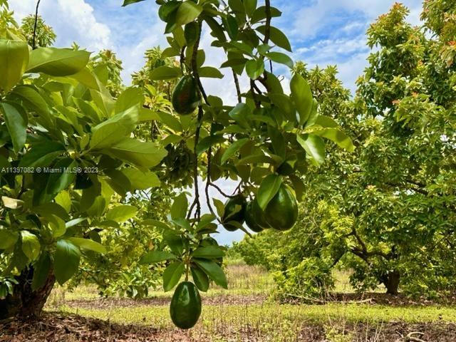 25000 SW 167TH AVE, HOMESTEAD, FL 33031, photo 1 of 12