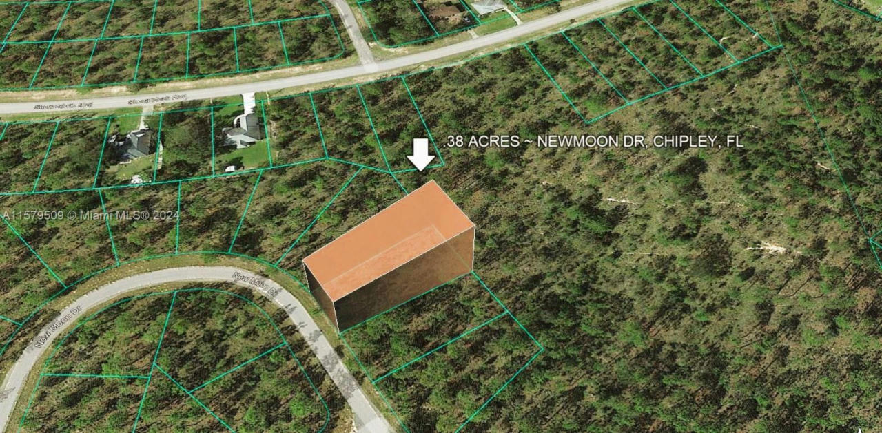LOT 30 NEWMOON DR, OTHER CITY - IN THE STATE OF FLORIDA, FL 32428, photo 1 of 5