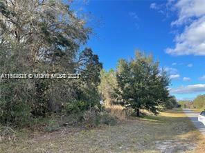 00000 SW 147TH LOOP, OTHER CITY - IN THE STATE OF, FL 34473 - Image 1