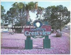0 TULIP AVE. CRESTVIEW, OTHER CITY - IN THE STATE OF, FL 32539 - Image 1