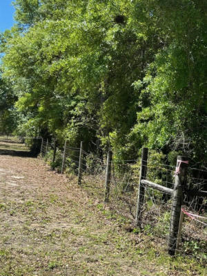 NE 102ND AVE LOT D, OTHER CITY - IN THE STATE OF FLORIDA, FL 32618, photo 3 of 19